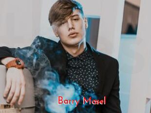 Barry_Masel