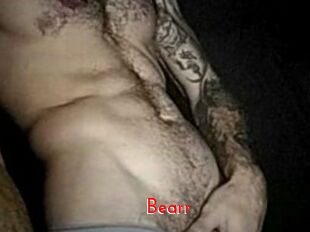 Bearr