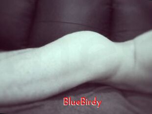 BlueBirdy