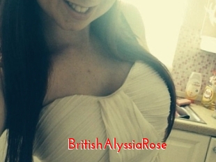 BritishAlyssiaRose