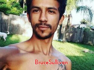 Bruce_Sullivan