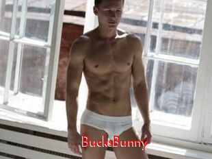 BucksBunny