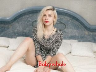 Babywhale