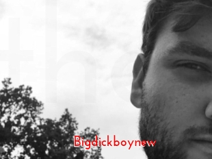 Bigdickboynew