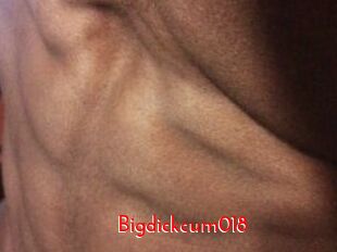 Bigdickcum018
