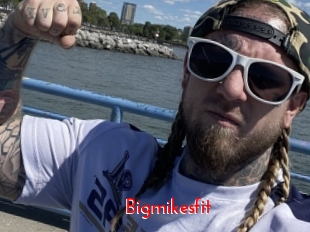 Bigmikesfit