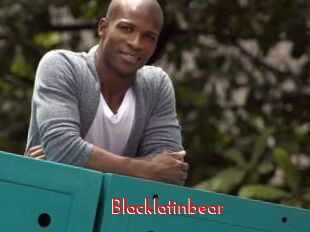 Blacklatinbear