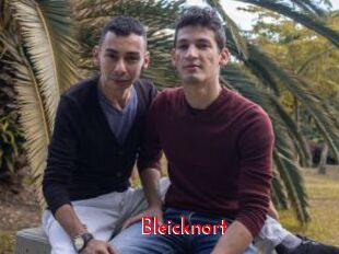 Bleicknort