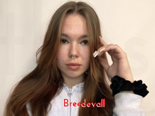 Breedevall