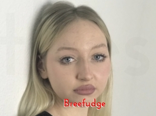 Breefudge