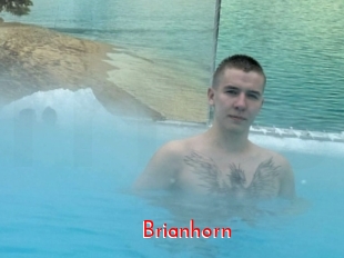 Brianhorn