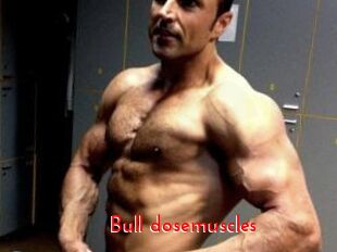 Bull_dosemuscles