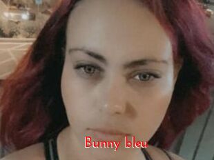 Bunny_bleu