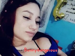 Bunnydangerous