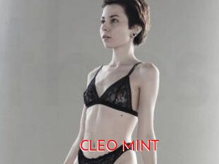 CLEO_MINT