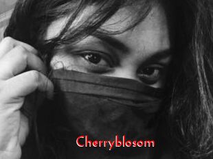 Cherryblosom