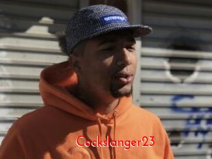 Cockslanger23