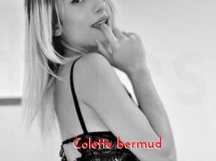 Colette_bermud