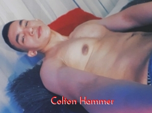 Colton_Hammer