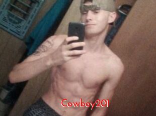 Cowboy201