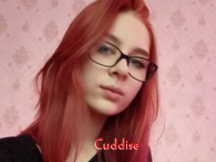 Cuddise