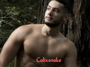 Calixsnake