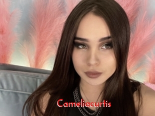 Cameliacurtis