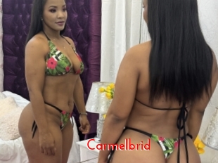 Carmelbrid