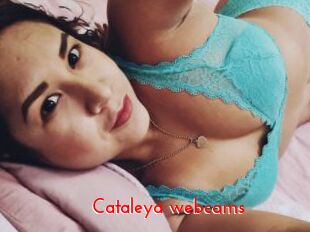 Cataleya_webcams