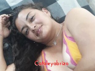 Cataleyabrizo
