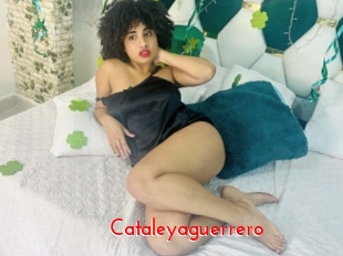 Cataleyaguerrero