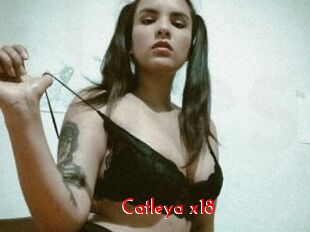 Catleya_x18