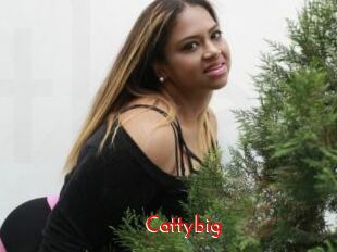 Cattybig