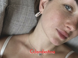 Cclandestina