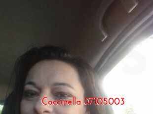 Coccinella-07105003