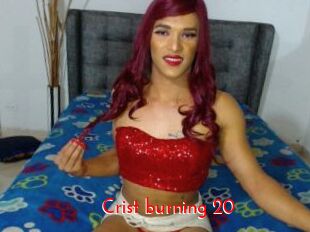 Crist_burning_20