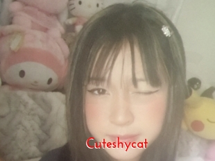 Cuteshycat