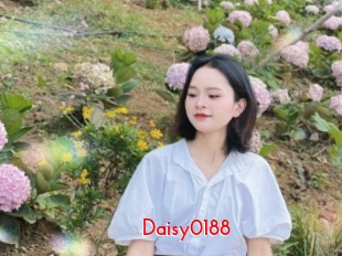 Daisy0188