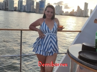 Demibarnes