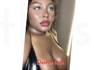 Destinytorn