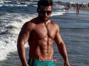 Domluc