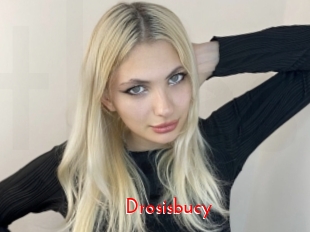 Drosisbucy