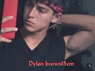 Dylan_brown15cm