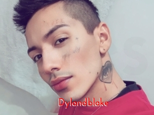 Dylandblake