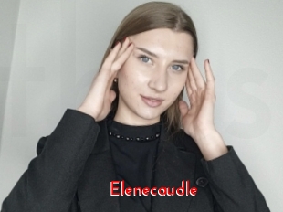 Elenecaudle