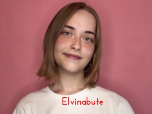 Elvinabute