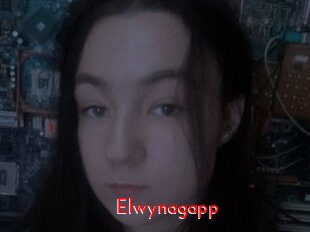 Elwynagapp