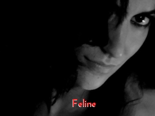 Feline