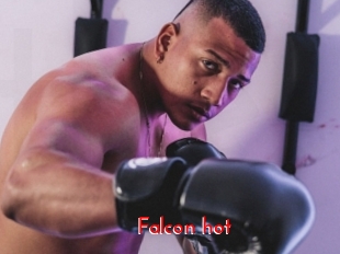 Falcon_hot