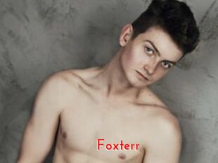 Foxterr